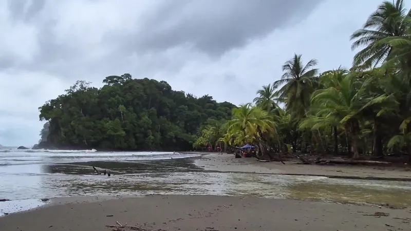 Playa Ventanas in Costa Rica with dark sand, palm trees and a jungle headland under a grey sky